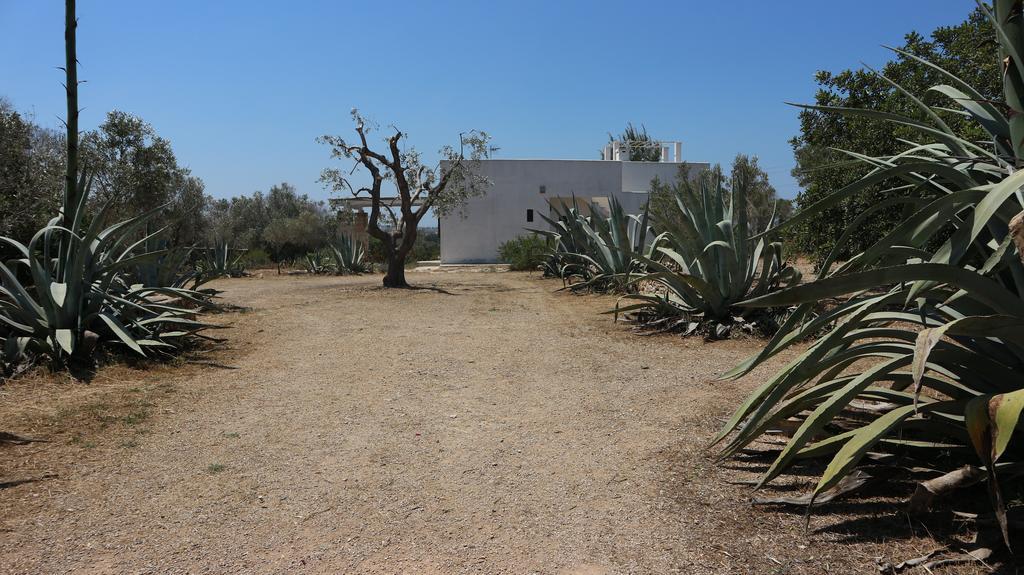 Villa Delle Agavi Gallipoli Sannicola Exterior foto